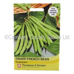 Thompson & Morgan Dwarf/ French Bean Tendergreen